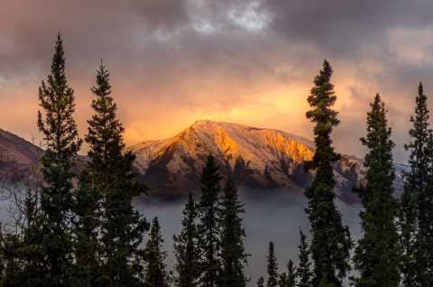 Denali Dawn, Alaska