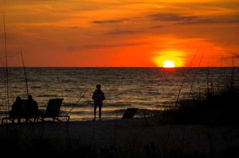Florida Sunset Silhouettes