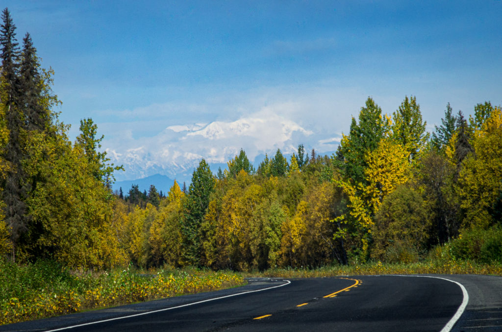 The mountains of Denali National Park, seen from the highway.