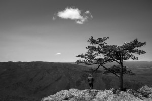 Overlooker - Ravens Roost, Blue Ridge Parkway