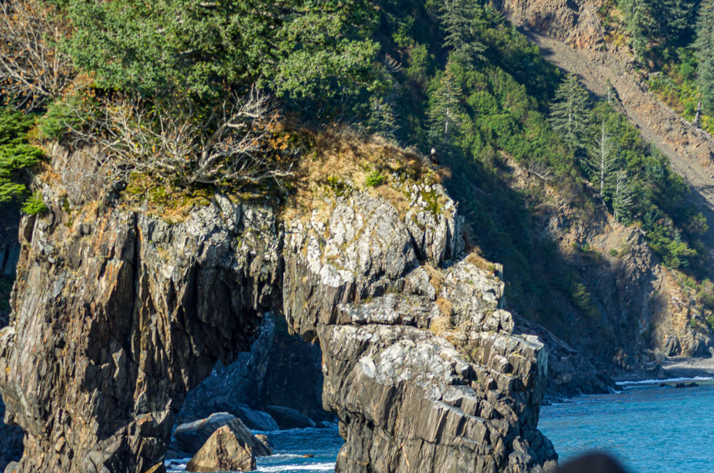 Bald eagle perched on rock formation, Alaska