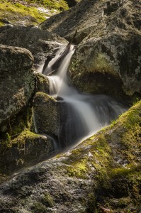 Section of Crabtree Falls