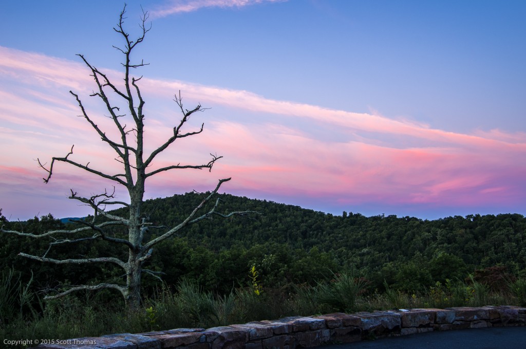 Photo: Trayfoot Sunrise
